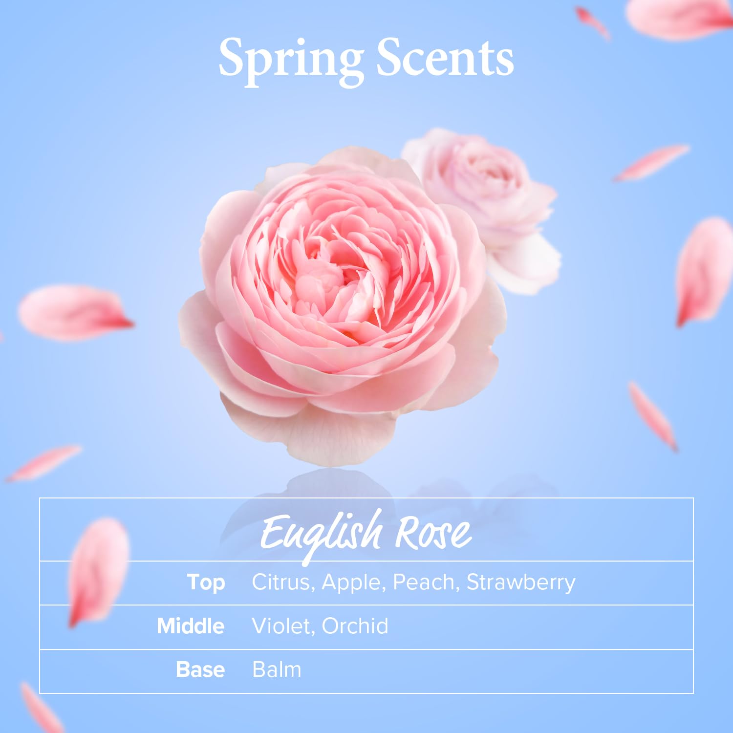 KUNDAL Honey & Macadamia Natural Conditioner Korean Hair Care Damage Repair, Deep Hydration, Long Lasting Fragrance, with Honey, Macadamia Oil 6.76fl oz (Pack of 2) (English Rose)