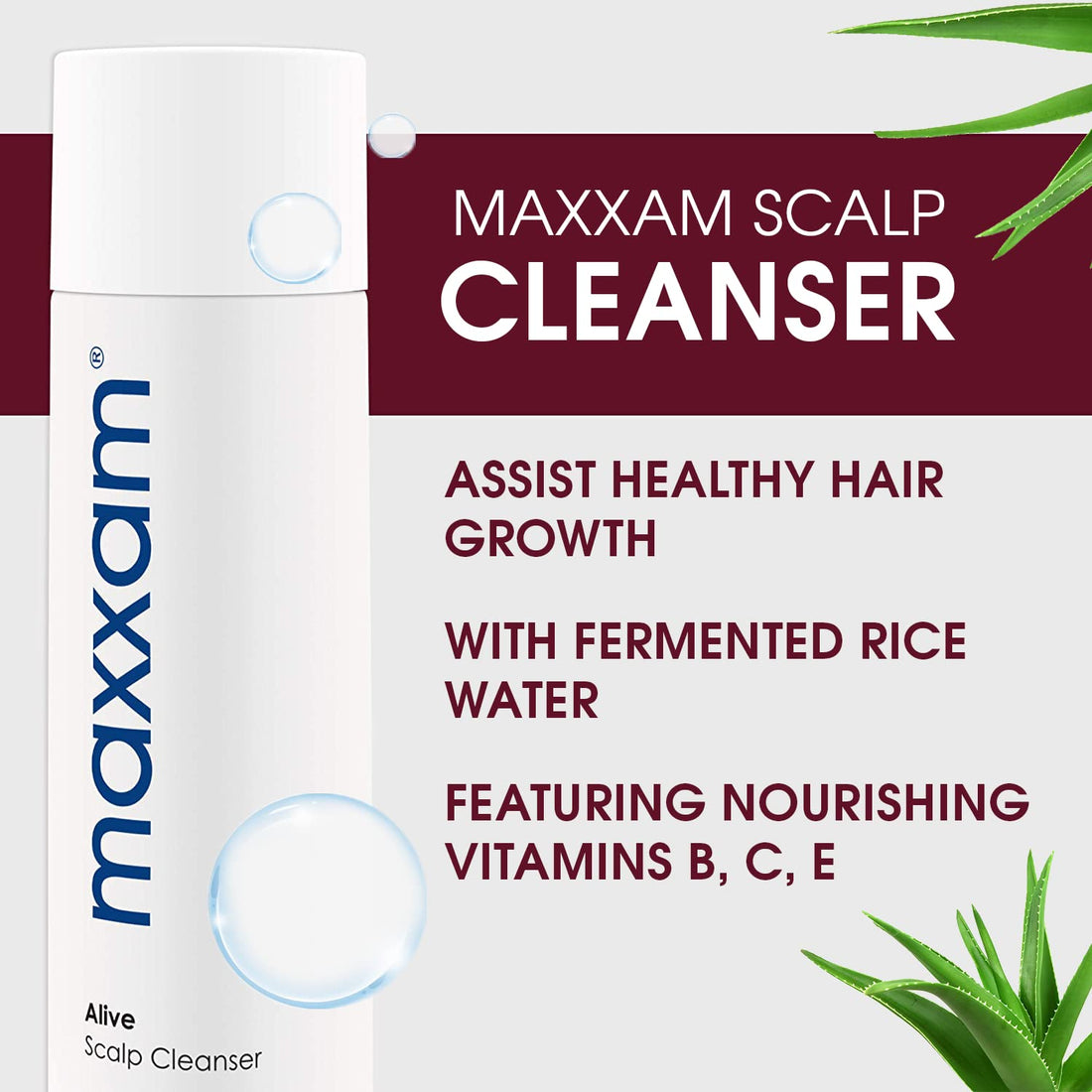 Maxxam Alive Cleansing Shampoo for Hair Growth and Scalp Care, Fermented Rice Shampoo for Clean and Youthful Hair