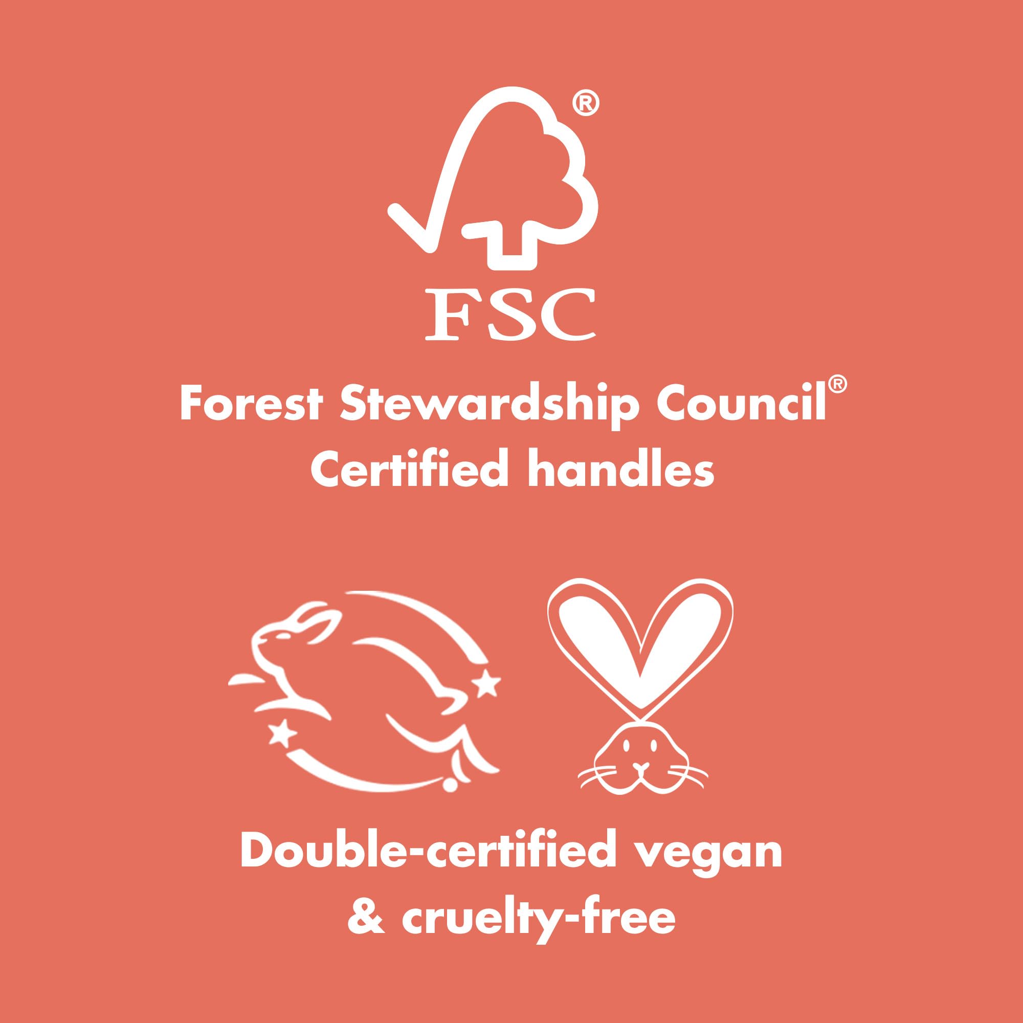 e.l.f. Cosmetics Complexion Brush & Sponge Duo, 2-Step Face Sponge & Makeup Brush Kit For Creating A Flawless Complexion, Great For Liquid Foundation