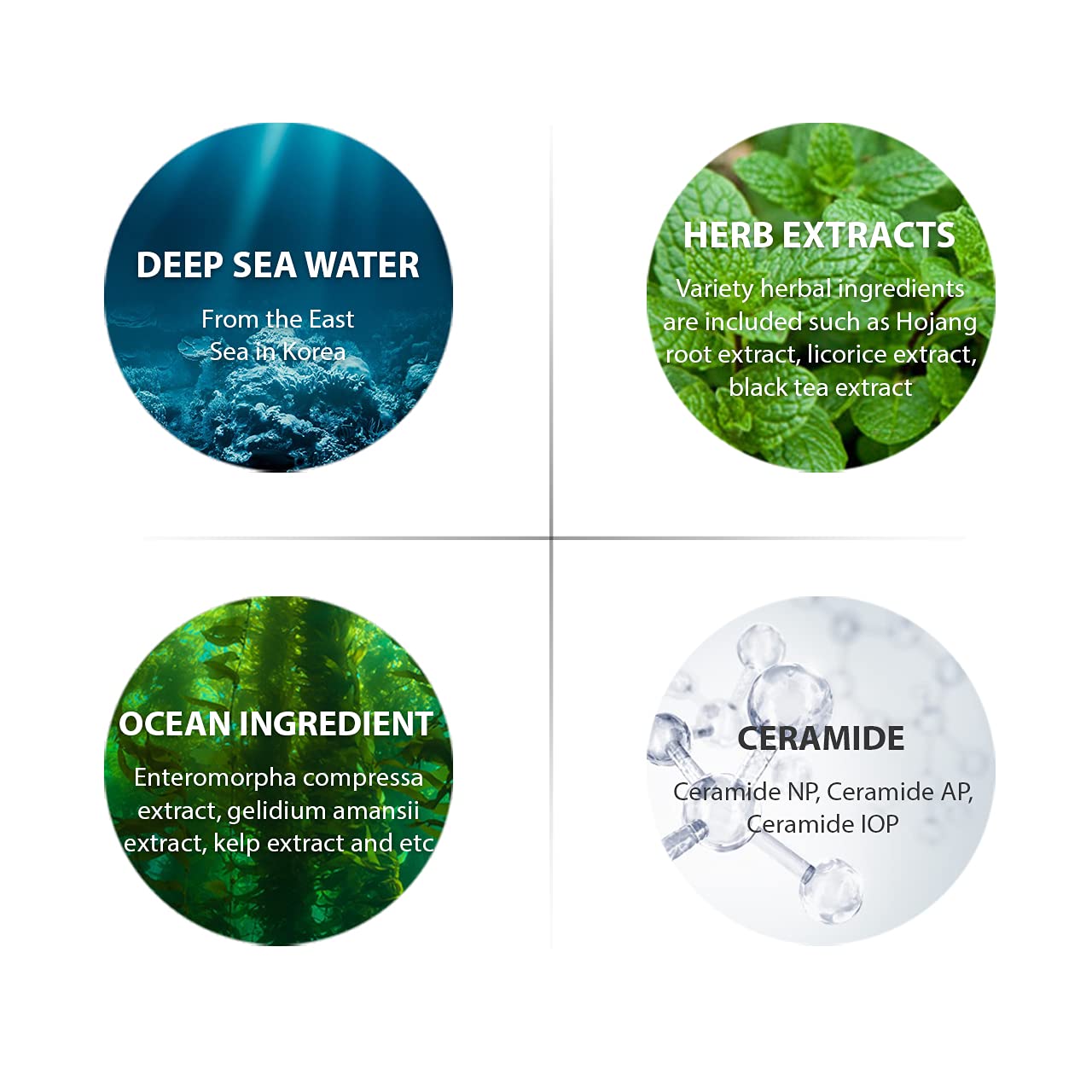 DASHU Aqua Deep Waterfull All in One Lotion for Men 5.17oz ââ‚¬â€œ Anti-Wrinkle, Face Moisturizer Lotion