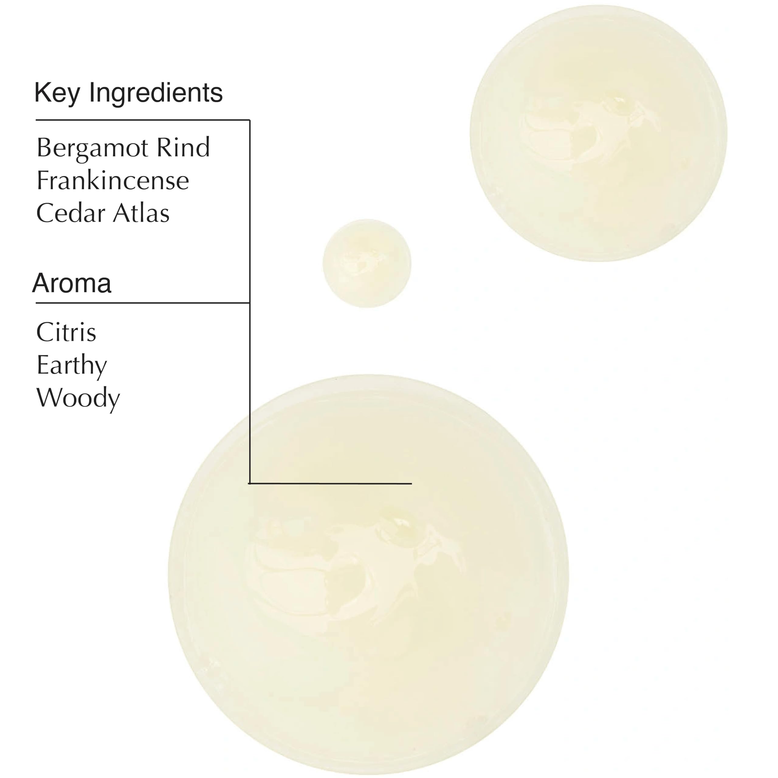 Aesop - Travel Set -Jet Set: Shampoo 50ml + Conditioner 50ml + Body Cleanser 50ml + Body Balm 50ml 4x50ml/1.7oz Aesop