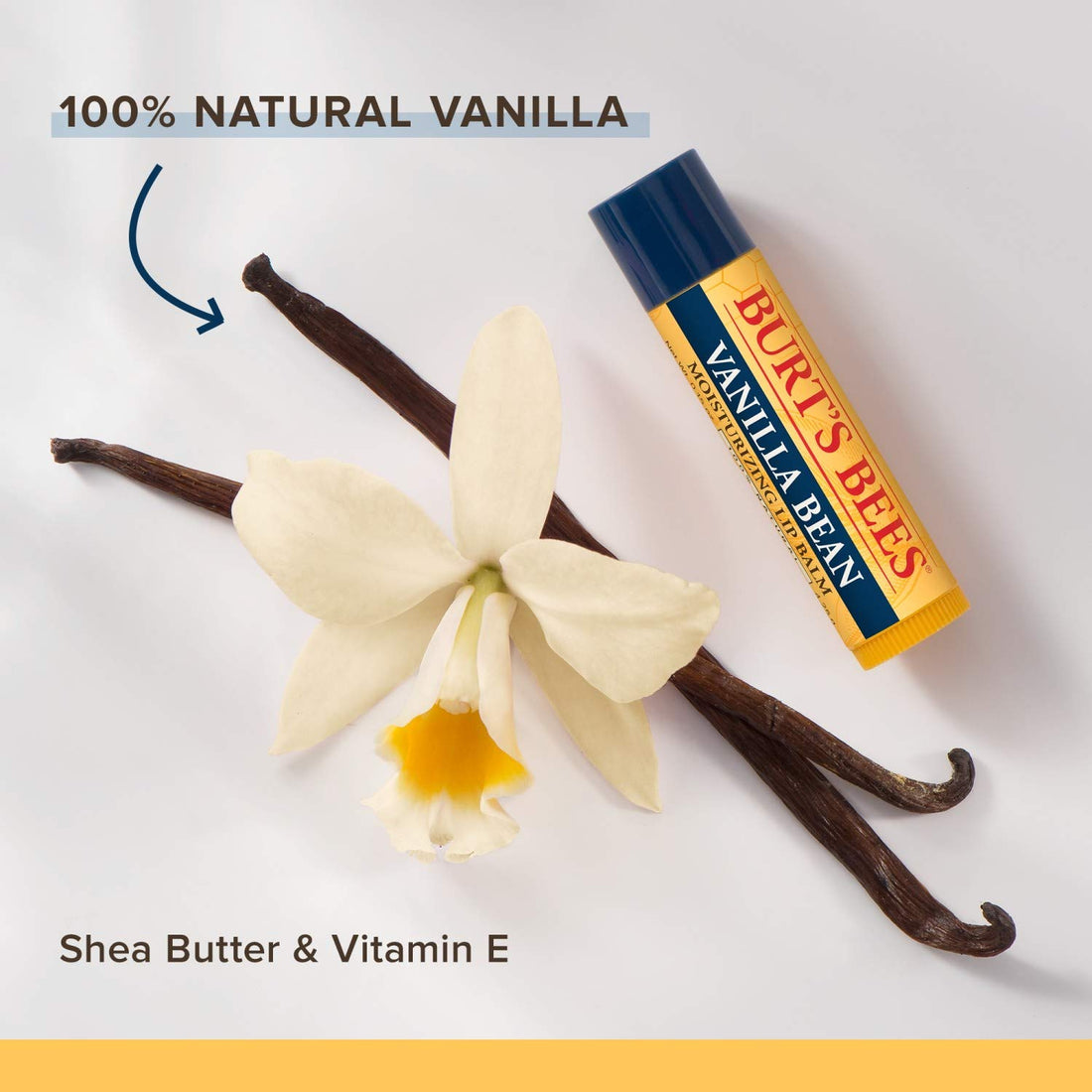 Burt's Bees 100% Natural Moisturizing Lip Balm, Vanilla Bean, 1 Tube
