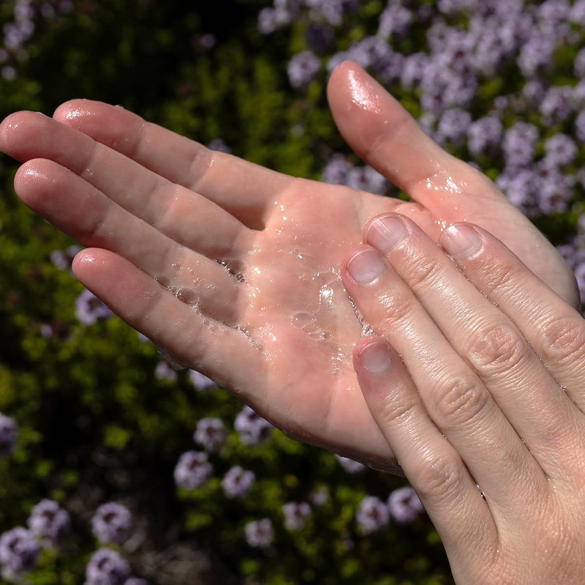 evanhealy Tea Tree Gel Cleanser | Cleansing Gel with Organic Lavender | Non-Detergent Gel for Face & Body | All Skin Types