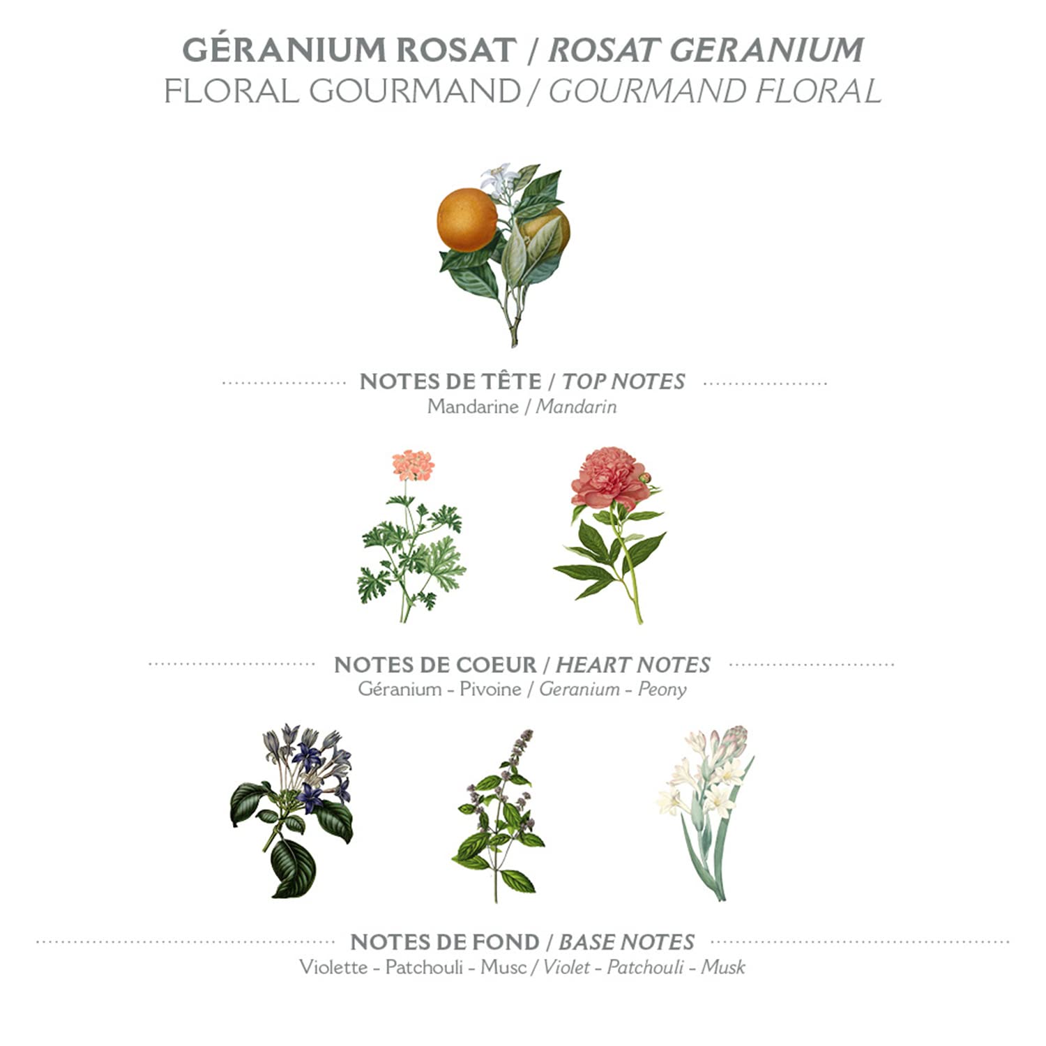 Panier des Sens Eau De Toilette, Rose Geranium, 1.7 Ounce