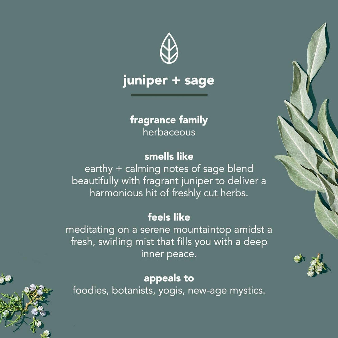 Juniper + Sage: Method Mens Body Wash, Juniper + Sage, 6 Count