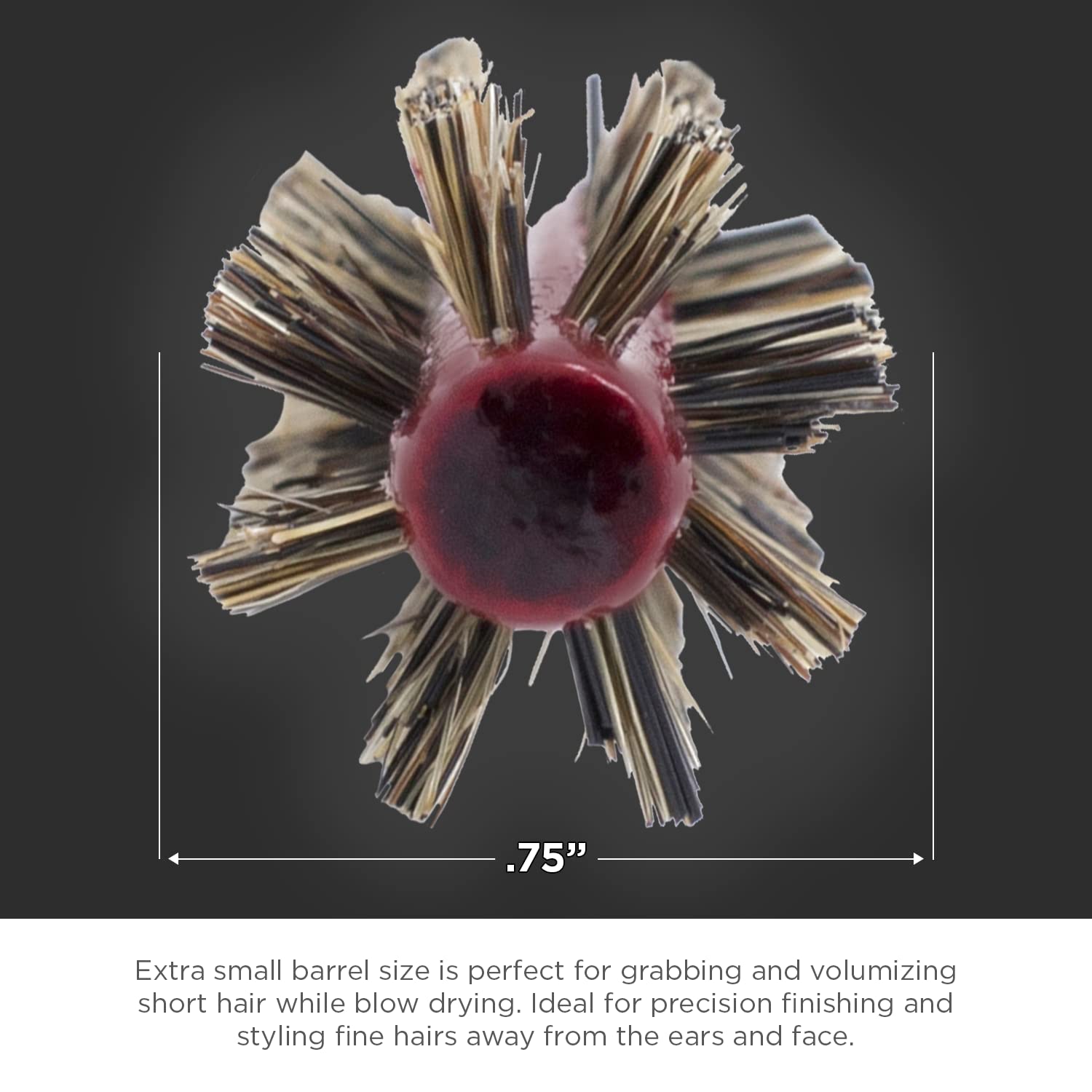 Spornette 1 Count HB-2 Mini Styling Boar Round Brush HB-2