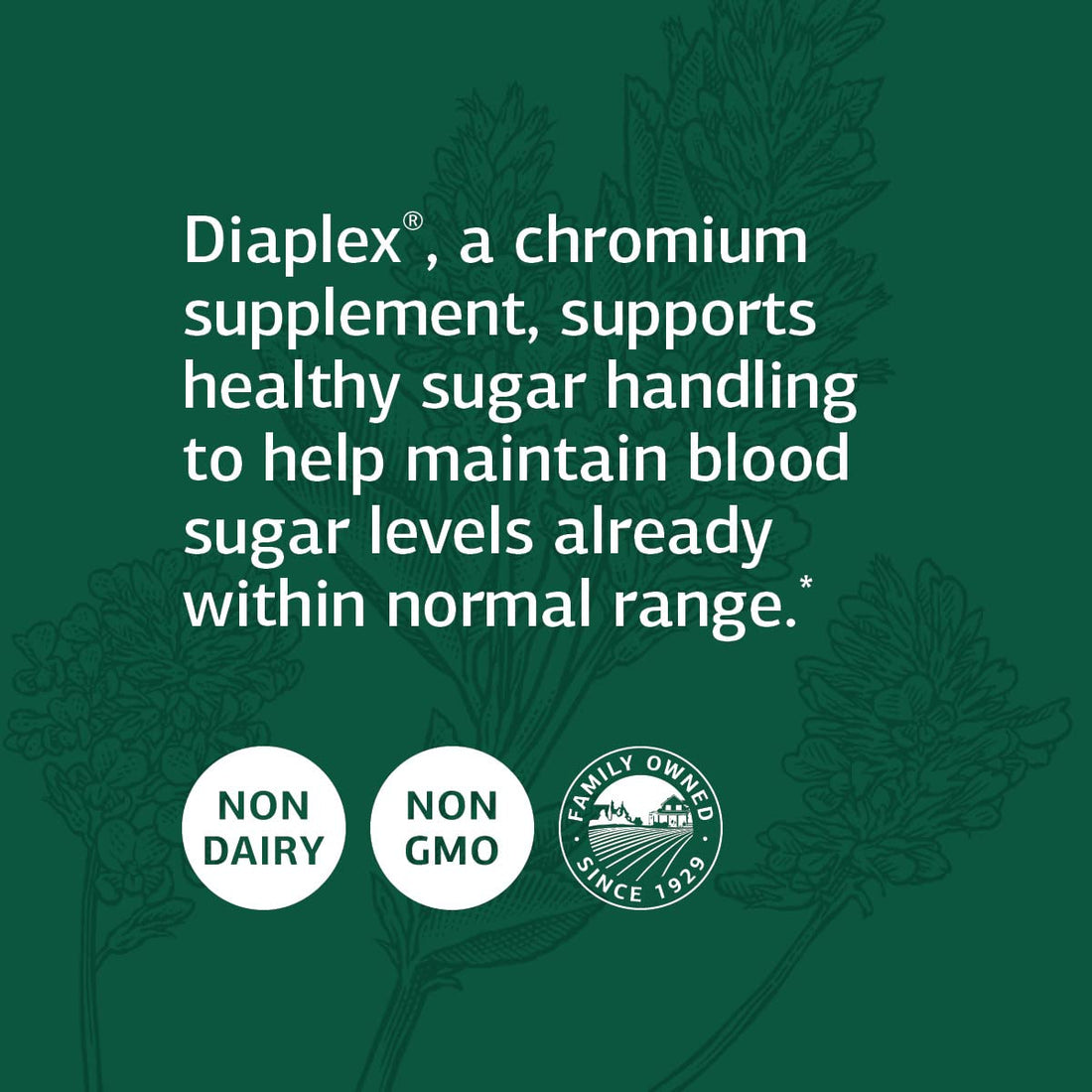 Standard Process Inc. Diaplex - Whole Food Bowel, Pancreas, Metabolism, Antioxidant, Gallbladder Support with Pepsin, Betaine Hydrochloride, Soy Protein - 150 Capsules