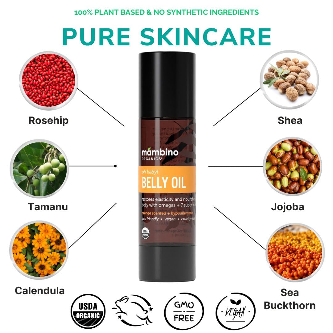 Mambino Organics Oh Baby! Belly Oil – Organic Elasticity Oil with Egyptian Calendula, Vietnamese Tamanu & Dutch Shea – Pregnancy Oil for Stretch Marks – Cruelty-Free Maternity Care, 3-Pack 2 fl oz