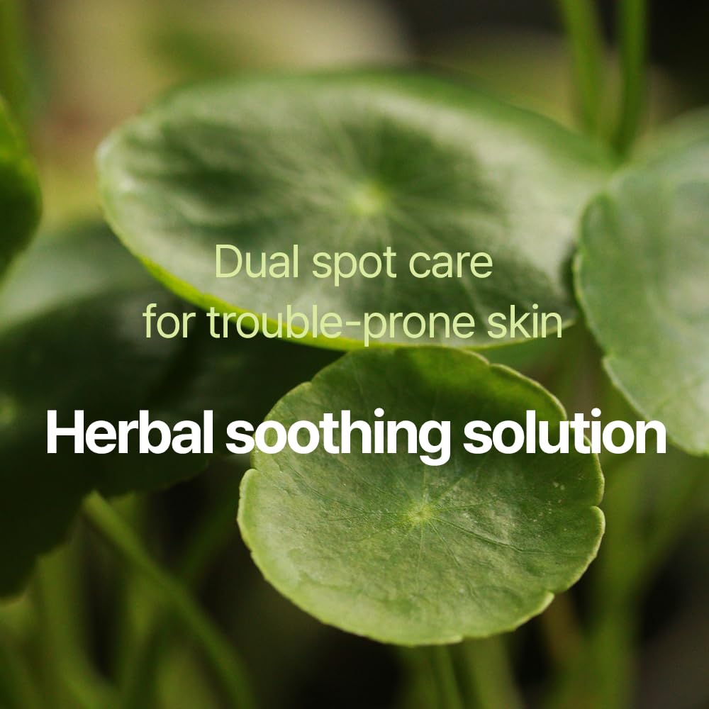 PYUNKANG YUL Calming Clear Spot Patch (Slim Care)145 count Quick, Adhesive & Invisible Oval Fit Stickers, Beveling Hydrocolloid Acne Spot Cover, Pimple Focused Skin Care for Blemishes and Zit, 2 Sized