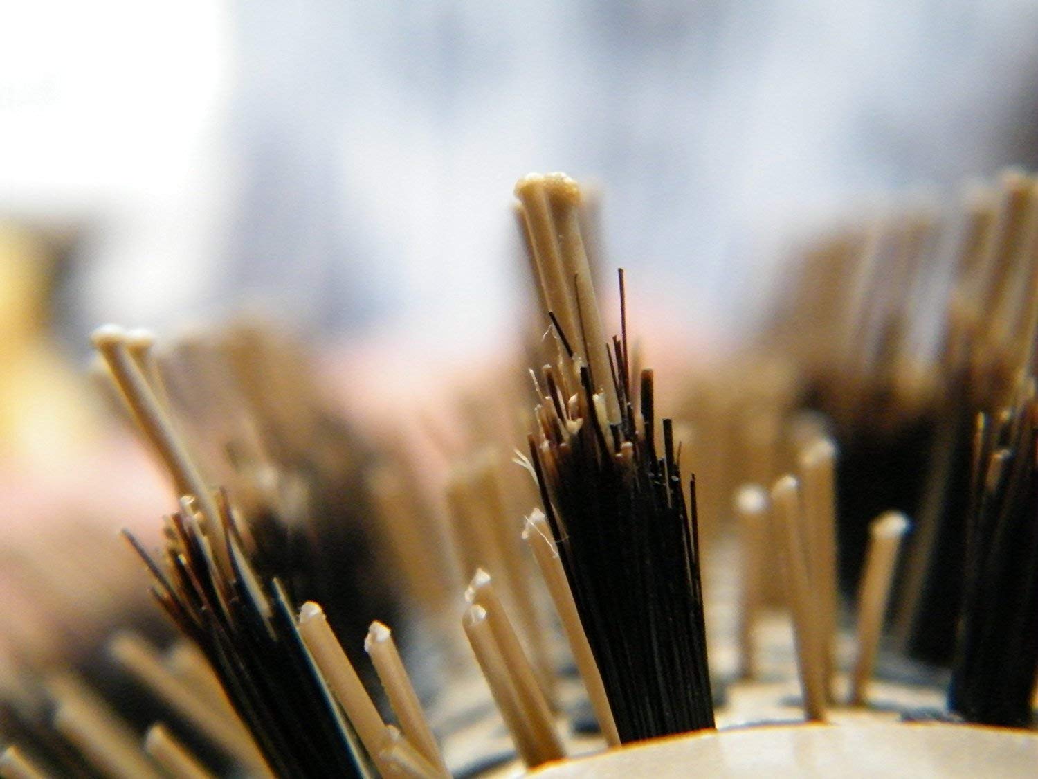 Blow-dry Round Brush for Salon-Like Blowouts, Styling, Curling Short Hair (Chin to Neck) with Bouncy Curls & Shine, Small Ceramic & Ionic Boar Hairbrush, 1.3 Barrel, 2.4 with Bristles