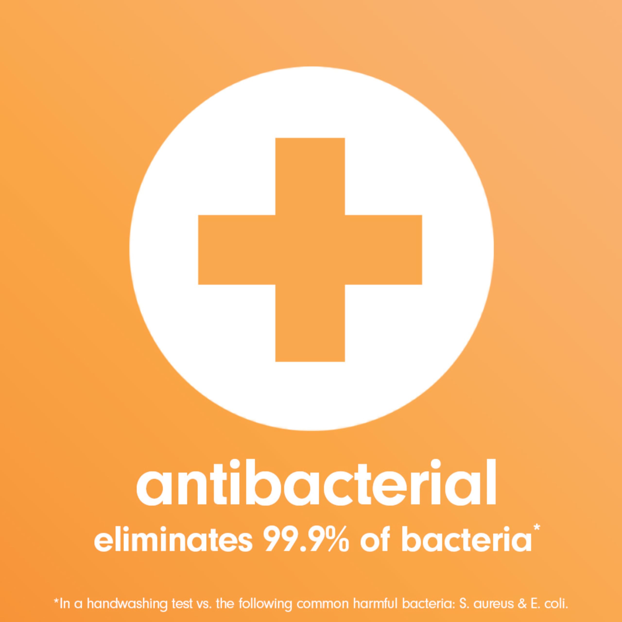 Softsoap Antibacterial Liquid Hand Soap, Crisp and Clean - 11.25 fluid ounce (6 Pack)