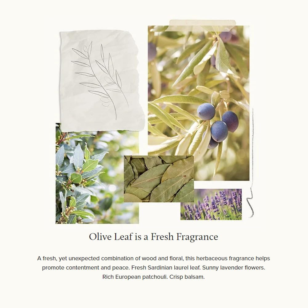 Olive Leaf Luxurious Bath Soap
