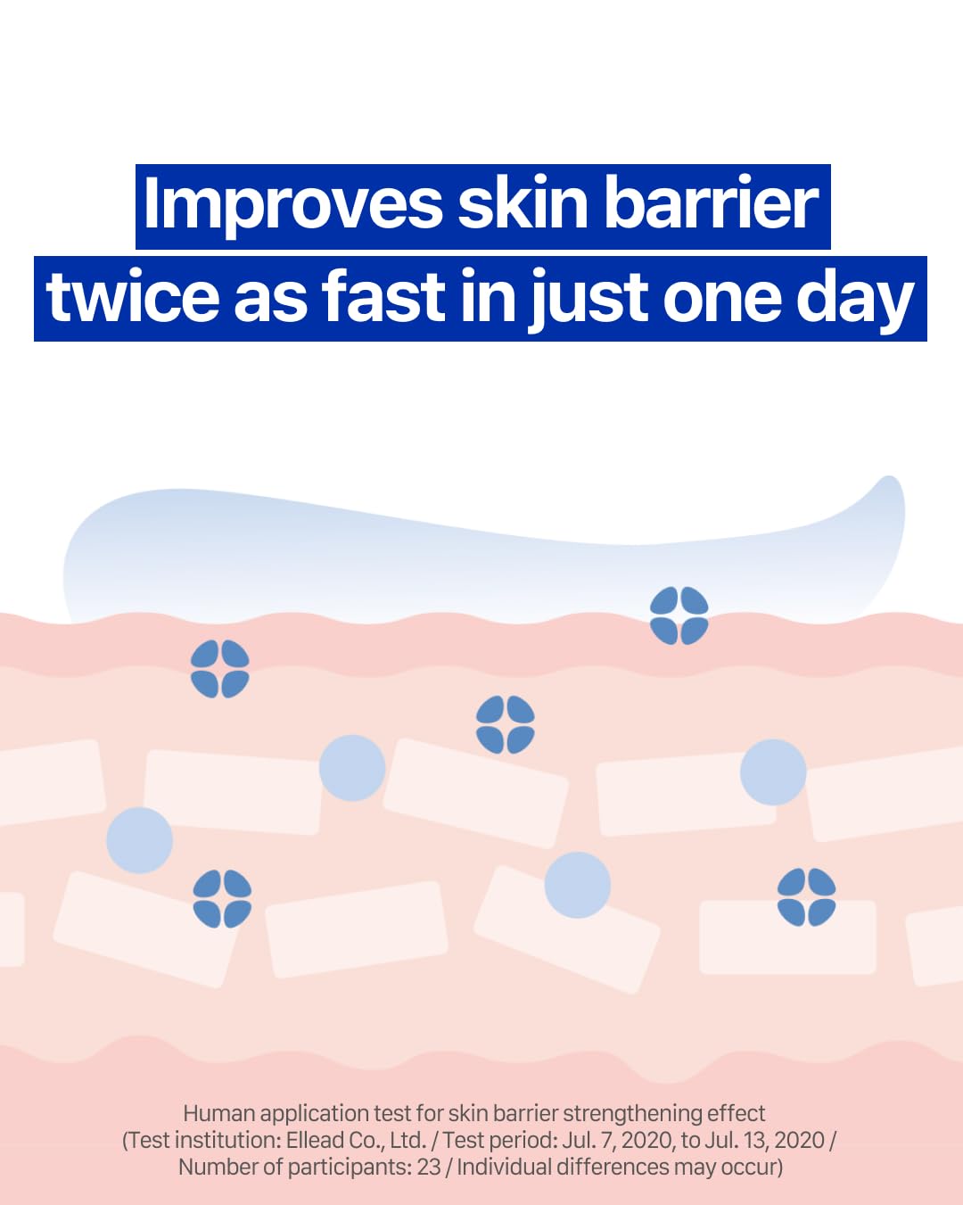 Real Barrier | Extreme Cream | Korean Moisturizer Face Cream, Korean Skin Care | Rich Face Lotion for Sensitive Skin | Hydrating Face Moisturizer with Hyaluronic Acid and Ceramides | 1.69 fl oz (50ml)