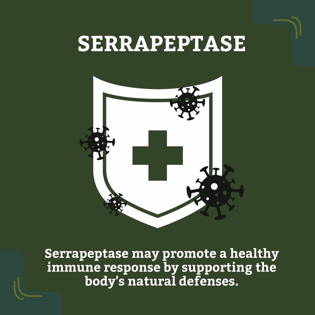 Detox Trees Serrapeptase Supplement - All-Natural, Non-GMO, Gluten Free Serrapeptase 40000 SPU - Proteolytic Enzymes for Sinus, Respiratory and Joint Health, 100% Vegetarian - 90 Capsules