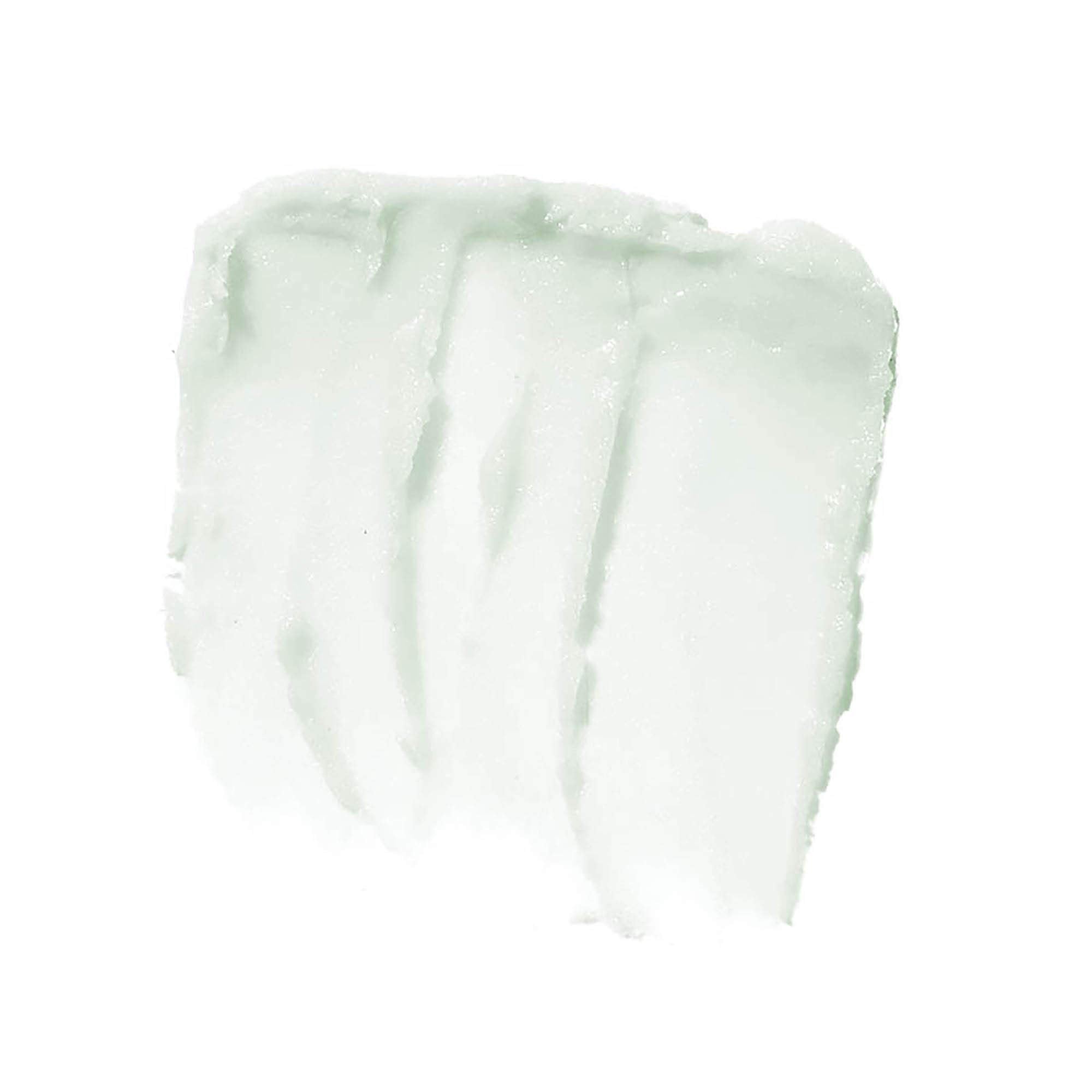 New ~ E.L.F. Lip Exfoliator (Mint Maniac)