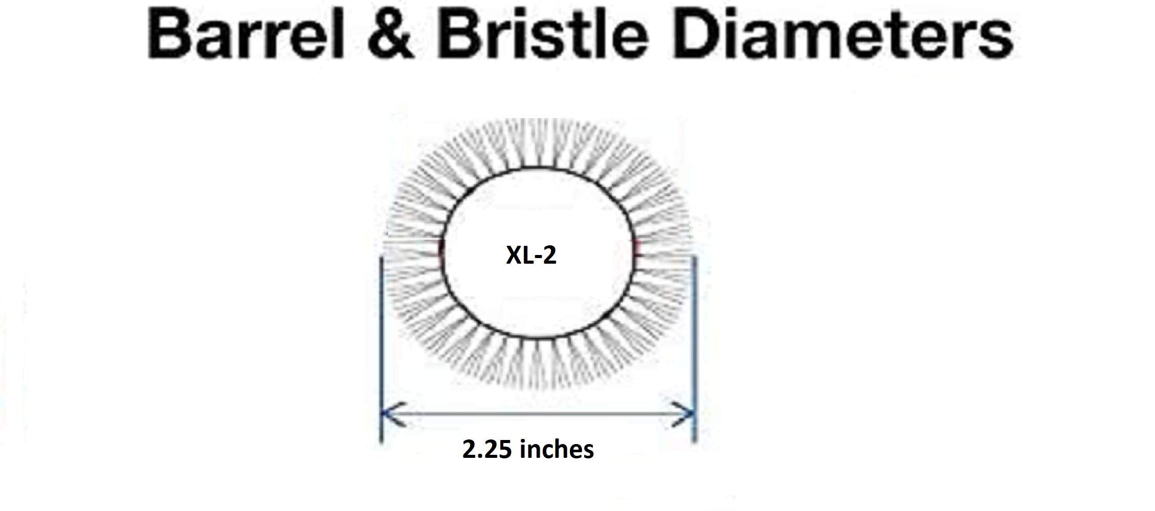 Phillips Brush Xl 2 Round Brush With Reinforced Boar Bristle And Aluminum Barrel 2.25 Inch Diameter