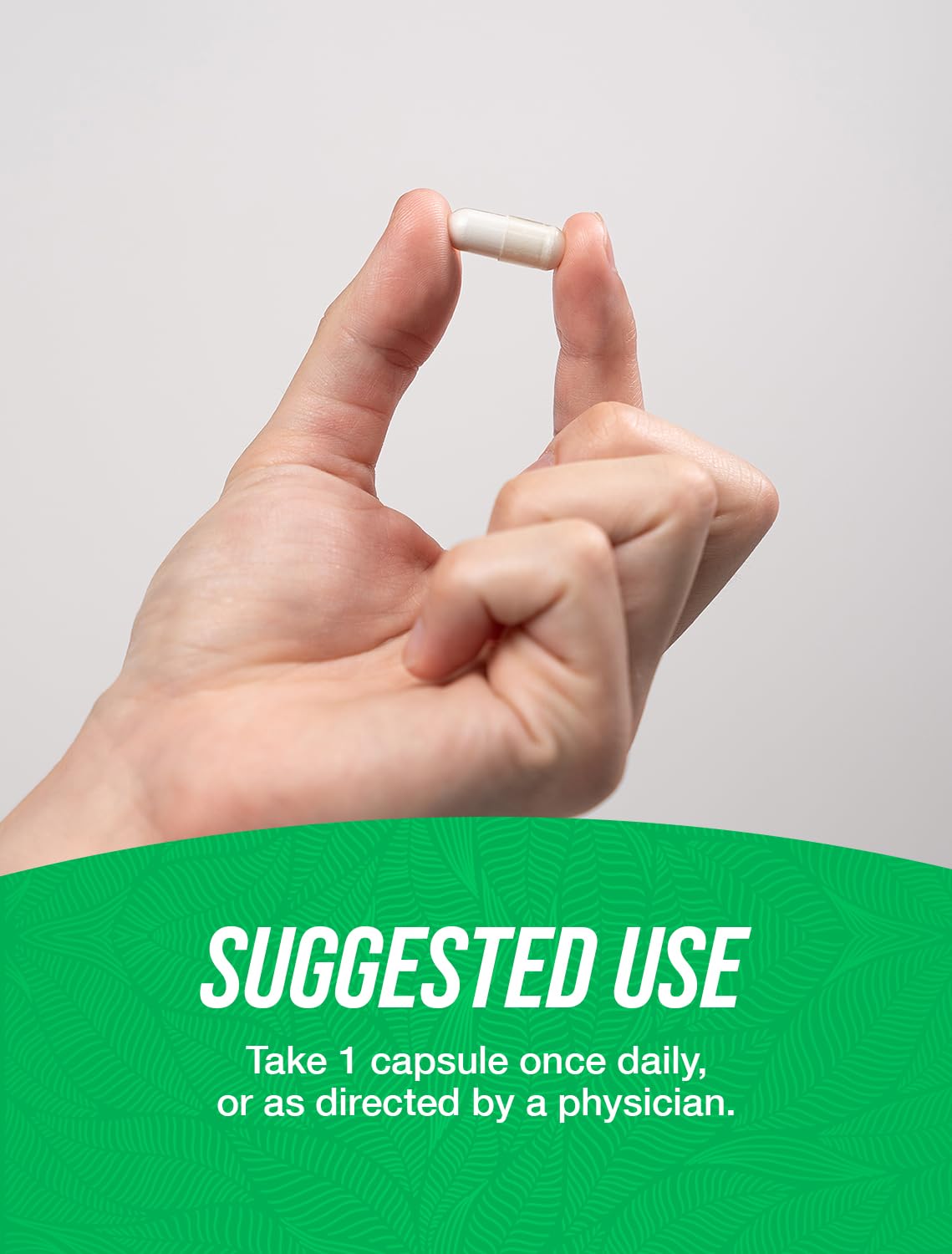 BulkSupplements.com Resveratrol Capsules - Resveratrol Supplement, Polygonum Cuspidatum, Resveratrol 500mg - Antioxidants Supplement, Resveratrol Pills - 1 Capsule per Serving, 60 Capsules