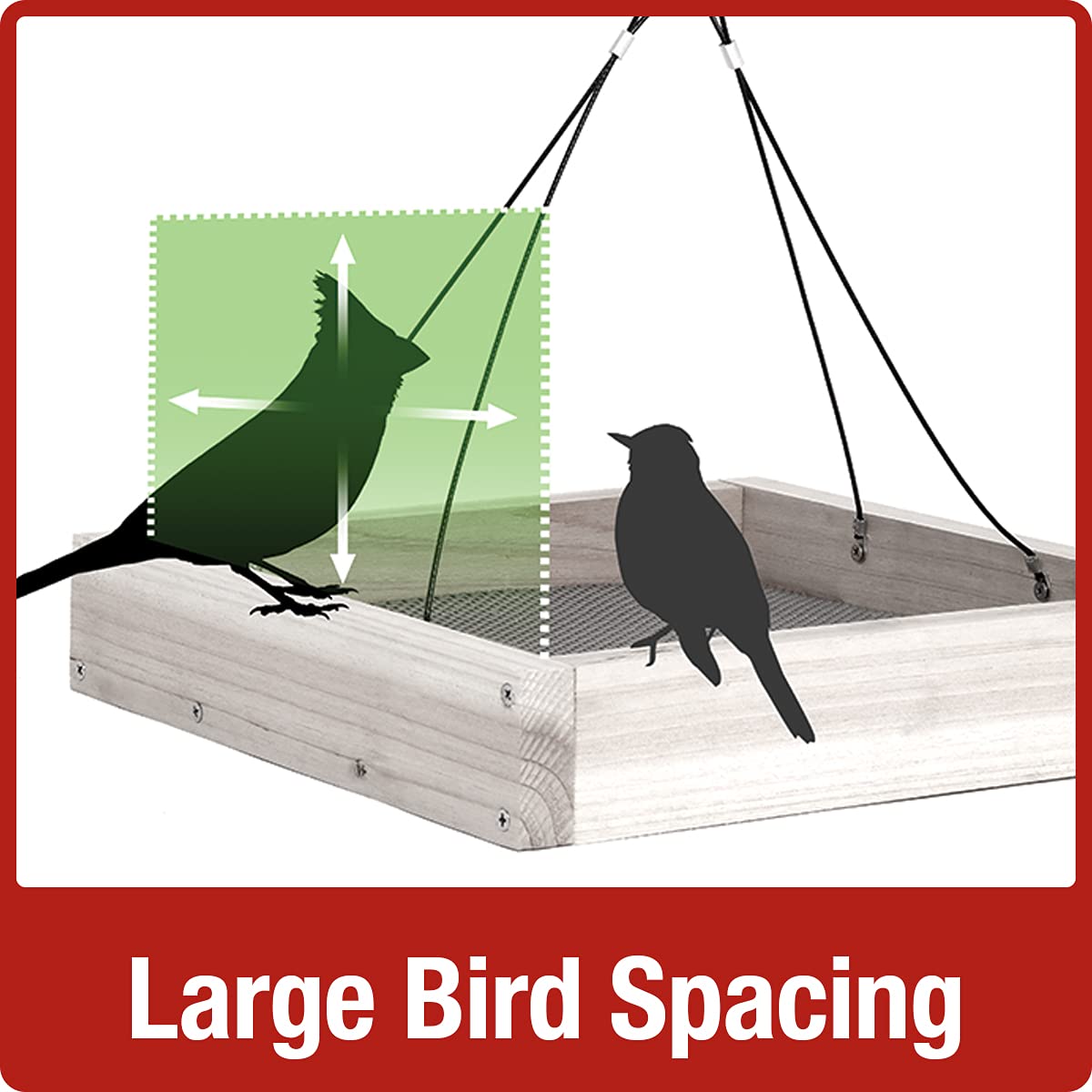 Nature's Way Bird Products CWF3 Cedar Platform Tray Bird Feeder 12 x 12