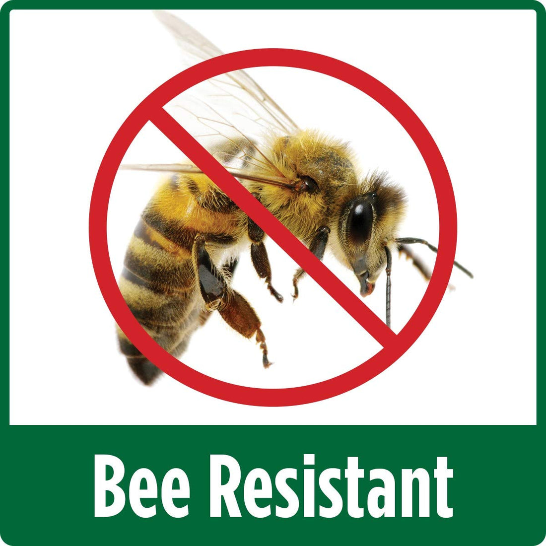 Nature's Way Bird Products SFHF1 So Real Single Flower Hummingbird Feeder, Pink