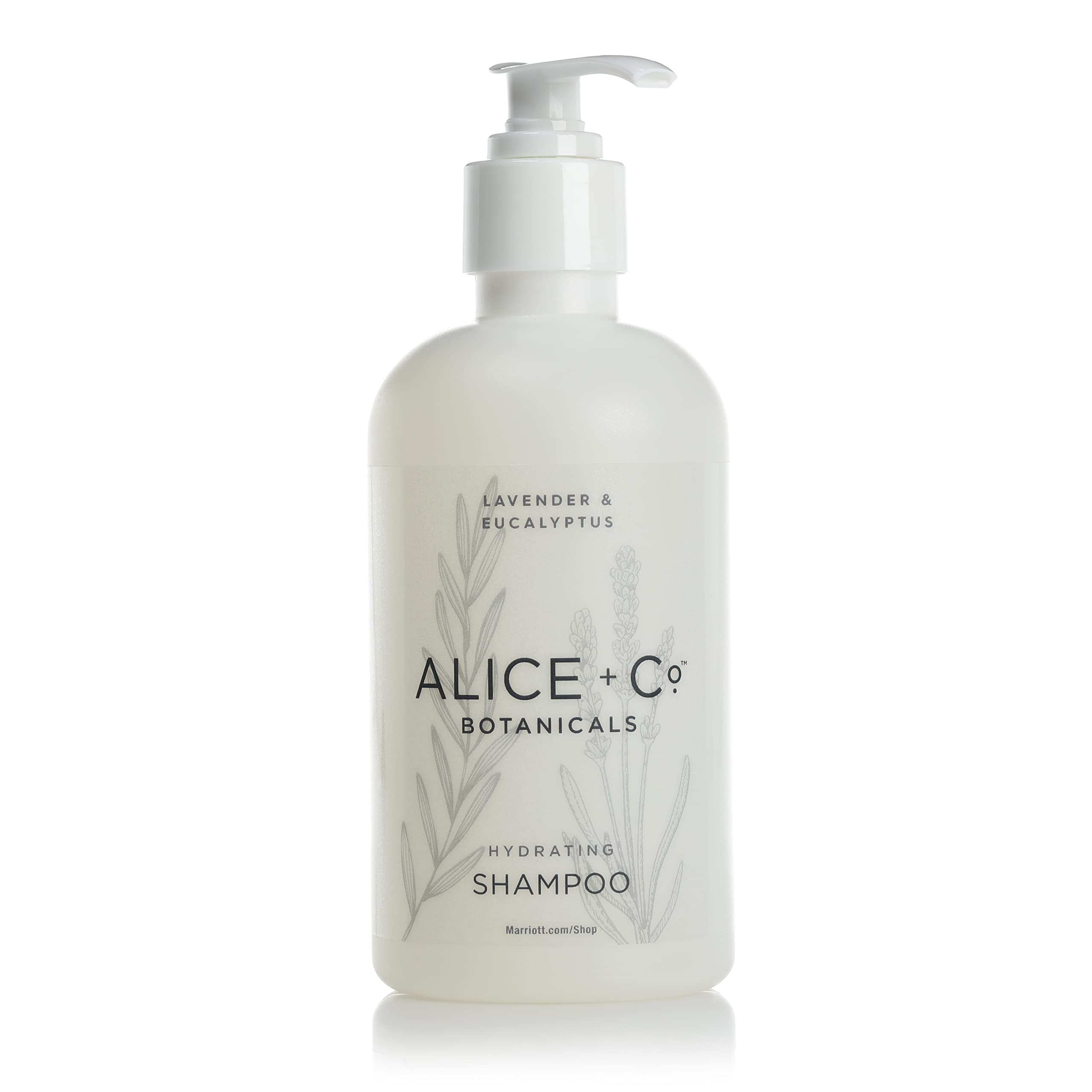 Alice + Co. Shampoo - Fairfield by Marriott - TownePlace - SpringHill - Hotel Bath Amenities - Lavender & Eucalyptus - 8.5oz Shampoo