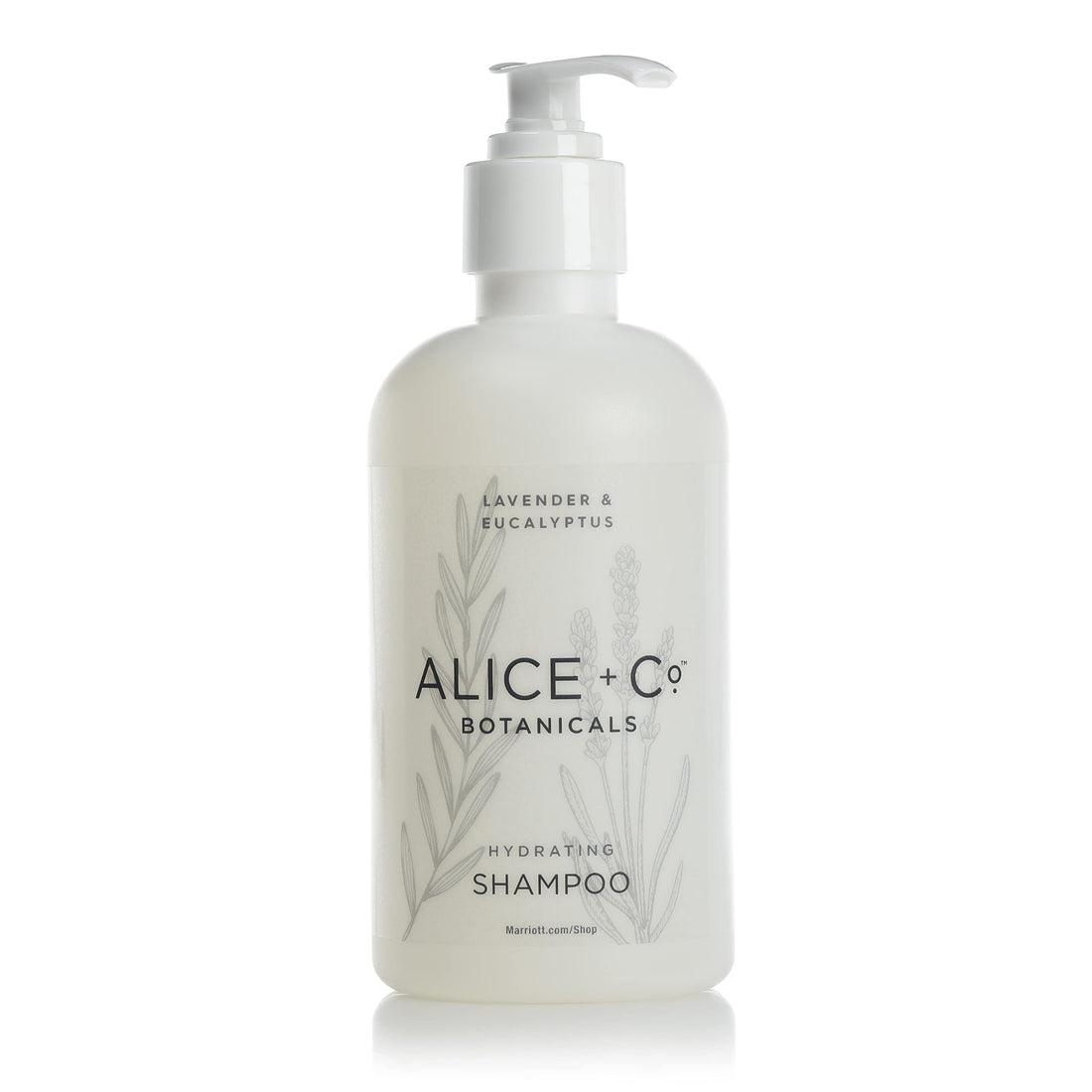 Alice + Co. Shampoo - Fairfield by Marriott - TownePlace - SpringHill - Hotel Bath Amenities - Lavender & Eucalyptus - 8.5oz Shampoo