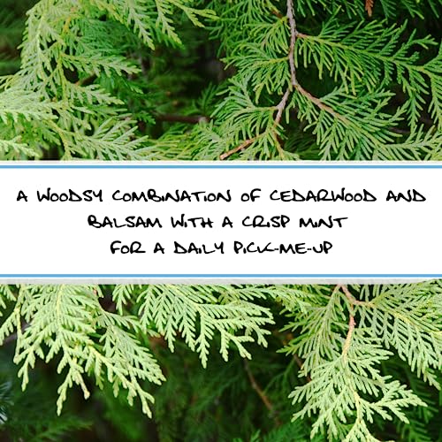 Bluebyrd Soap Co. Cedar Balsam + Mint Solid Shampoo & Body Wash Soap Bar | 100% All Natural Multi-Purpose Bars -Refreshing Menthol Scent | Pure Essential Oil, Vegan, Organic (Cedar Mint)