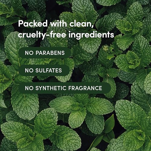 LATHER - Mint Thyme Hair Wash, 8 fl oz - Daily Shampoo & Cleanser - Revitalize Hair - Aloe, Chamomile, Cucumber - Sensitive Skin Safe - Hotel Approved - Vegan & Cruelty Free - Beauty & Hair Care