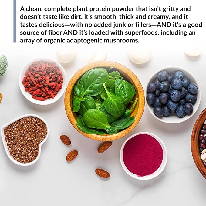 BioTrust Low Carb Plant, Delicious, Creamy, 20 Grams of Clean, Complete, Plant-Based Protein, 5 Grams Fiber, 15 Superfoods, Digestive Enzymes, Vegan, Dairy-Free - 14 Servings (Chocolate)