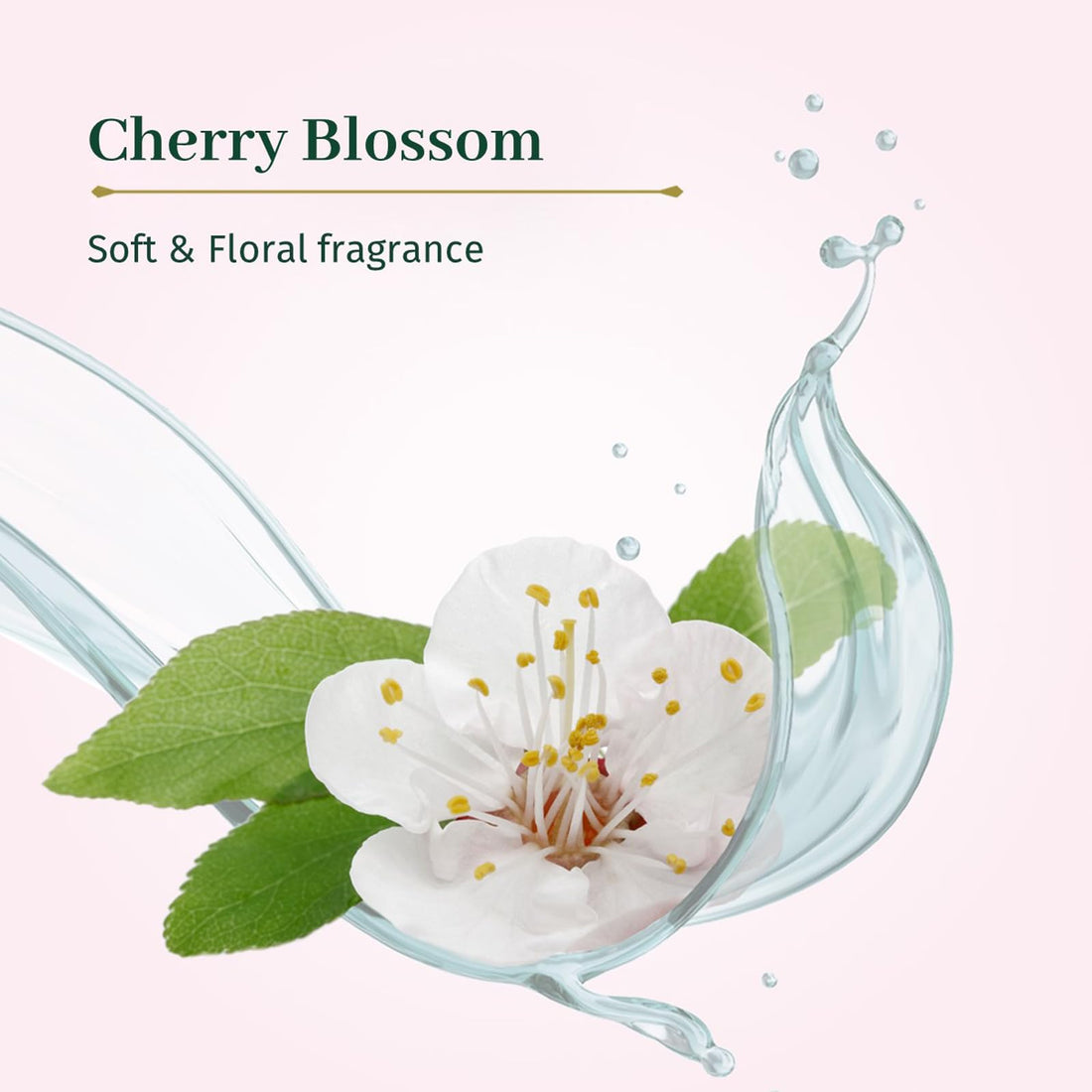Le Petit Olivier Shower Cream, Cherry Blossom, 16.9 oz - Moisturizing Cream for Sensitive Skin - Natural Extracts - Enriched with Glycerin - pH Neutral - Soap-Free - Dye-Free - In-Shower Body Cream