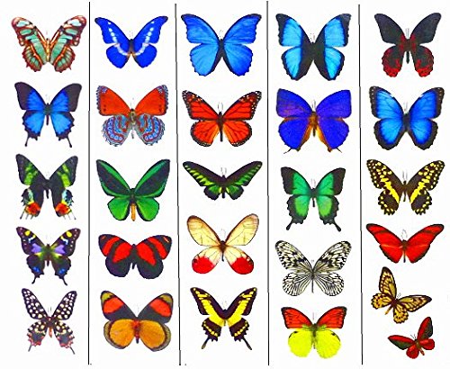 Temporary Butterfly Tattoos (Free Shipping) 5 Sheets