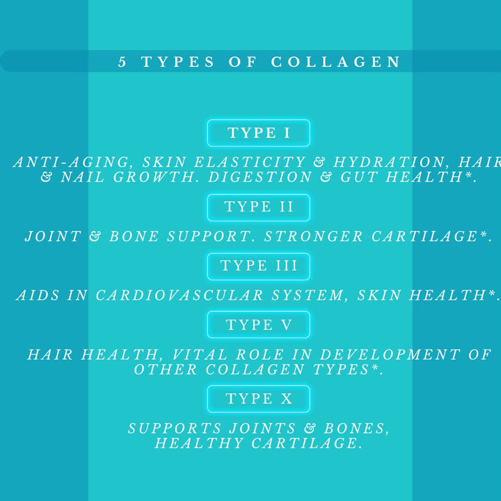 Multi Collagen Pills Plus + 180 Capsules (Types I, II, III, V & X) + Absorption Enhancer (3 Months Supply) - Non-GMO, Collagen Supplements to Support Hair, Skin, Nails, Joints, & Gut Health