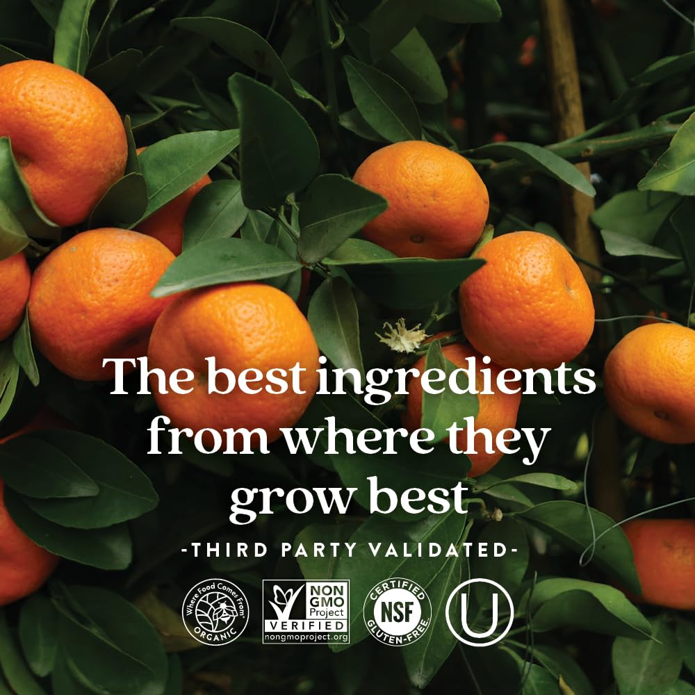 New Chapter One Daily Multivitamin for Immune, Energy & Stress Support, 20+ Nutrients Fermented with Probiotics & Whole Foods, Made with Organic Vegetables - 72 ct