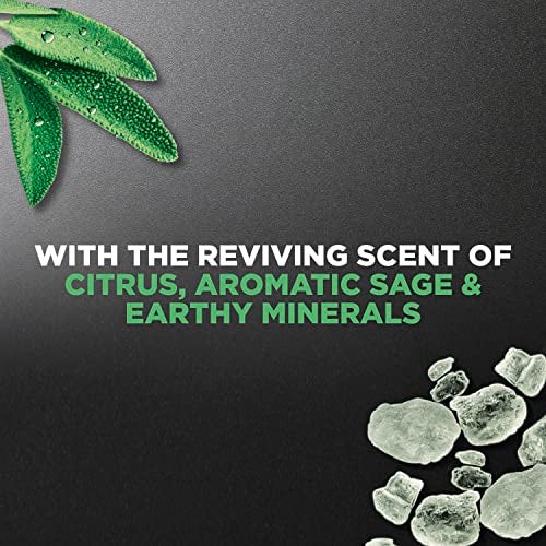 DOVE MEN + CARE Elements Body Wash Mineral+Sage 18 oz Effectively Washes Away Bacteria While Nourishing Your Skin