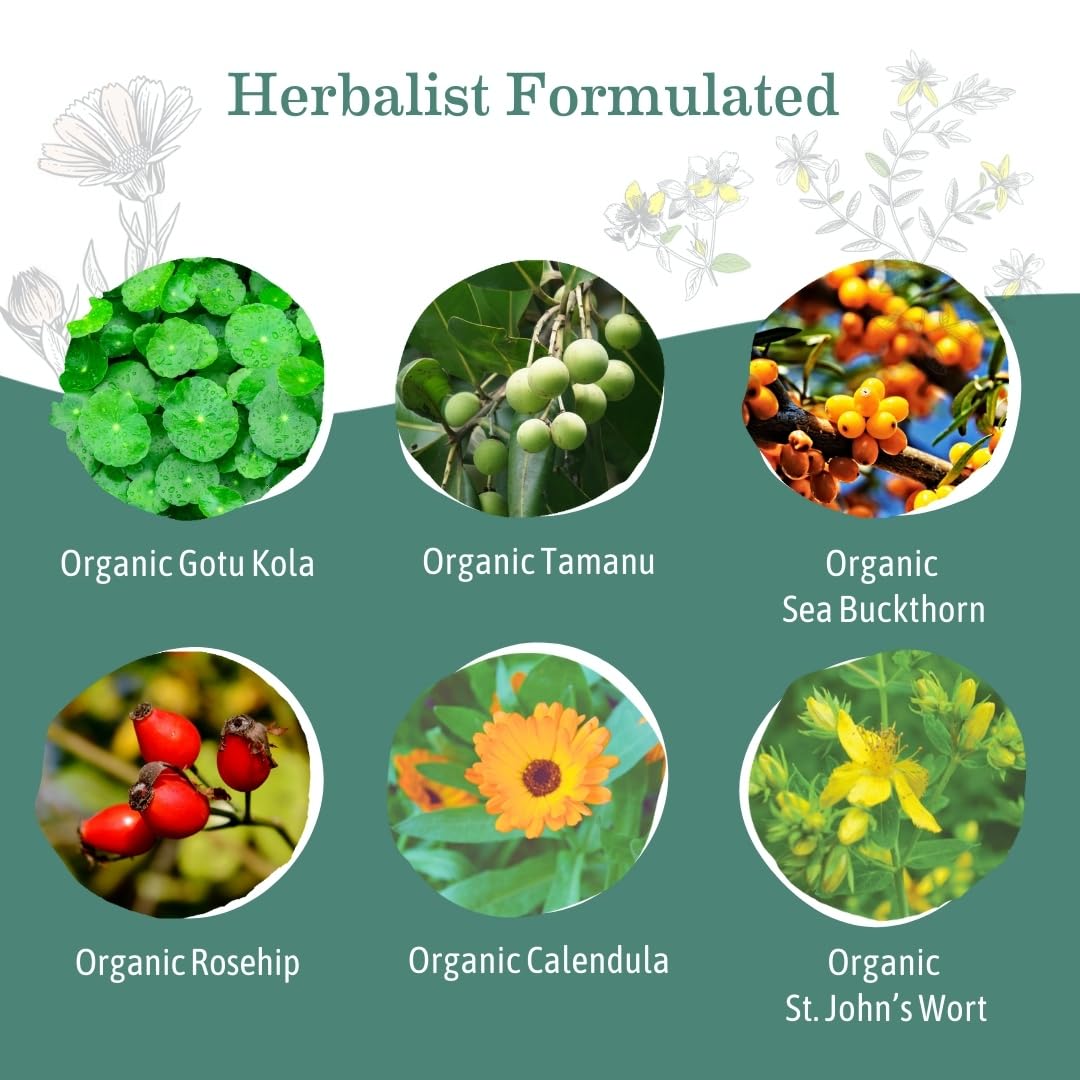 Earth Mama C-Healing Salve 1 oz Pack of 2