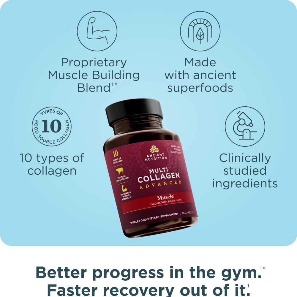 Ancient Nutrition Advanced Collagen Protein Muscle with Probiotics, Hydrolyzed Collagen Peptides Supports Healthy Body Composition* and Muscle Building*, 90 Count