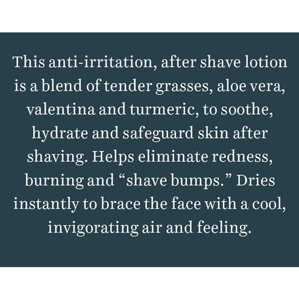 Biotique Bio Wild Grass A Soothing After Shave Gel For Men, 120Ml