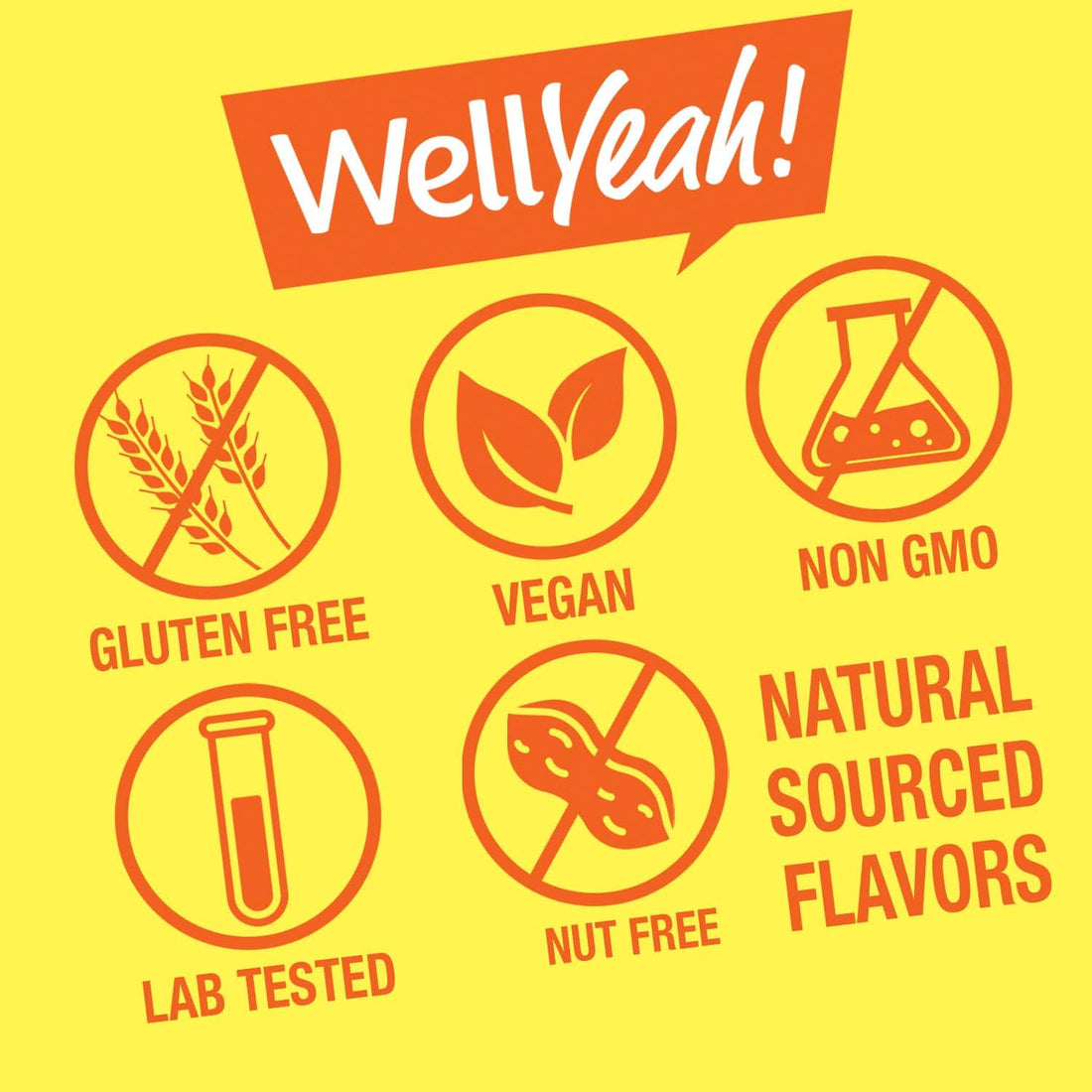 WellYeah Kids Multivitamin Gummies | Vitamin C, D3, E, A, B6, B12, Biotin, Zinc, Folic Acid, Iodine, and Niacin | Immune and Energy Support | Orange and Berry Flavor | 60 Count