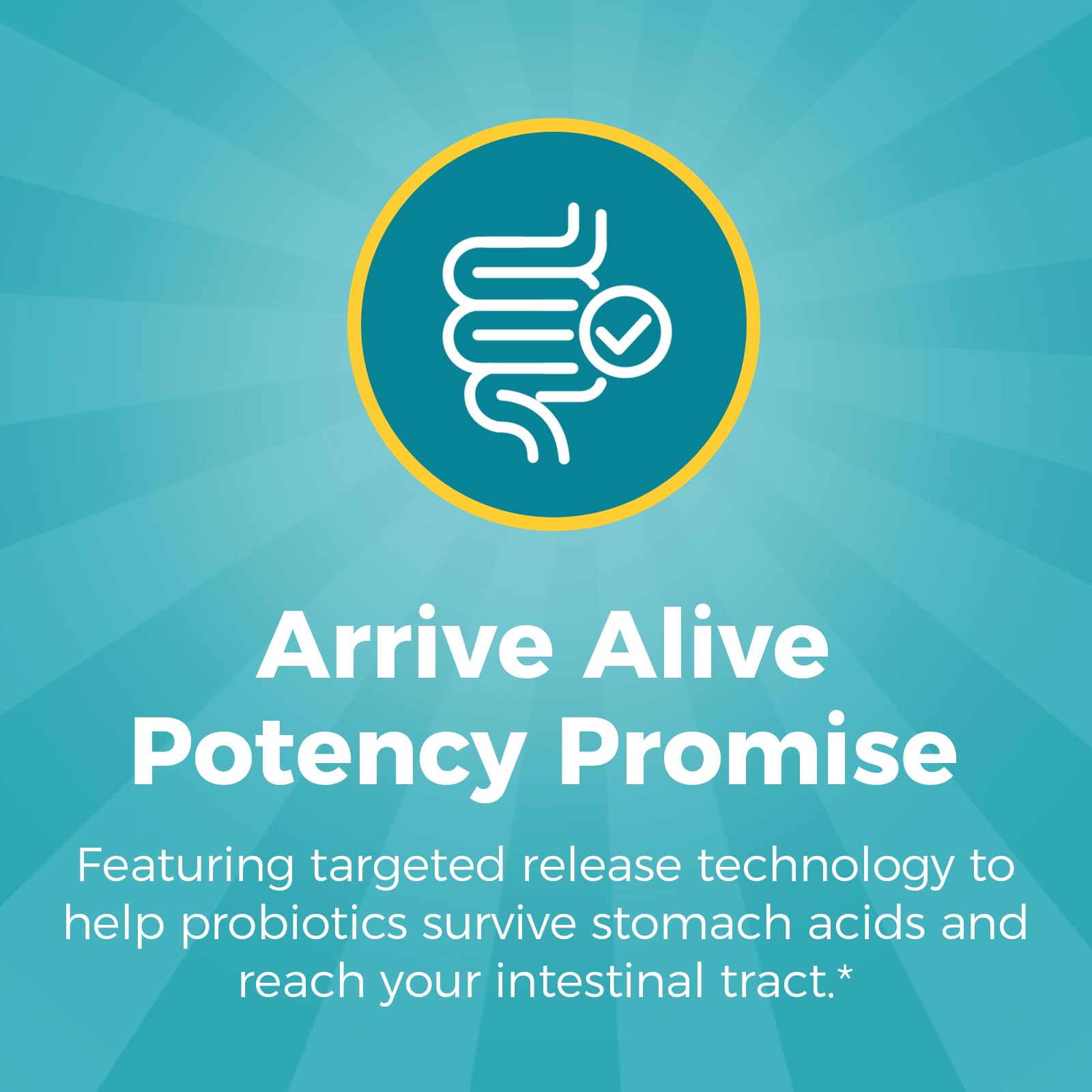 NewRhythm Probiotics 120 Billion CFU 36 Strains, 3-in-1 Probiotics for Digestive Health & Immune Support with Prebiotics & Enzymes, Probioticos for Women & Men, Vegan Targeted Release Supplement, 30ct