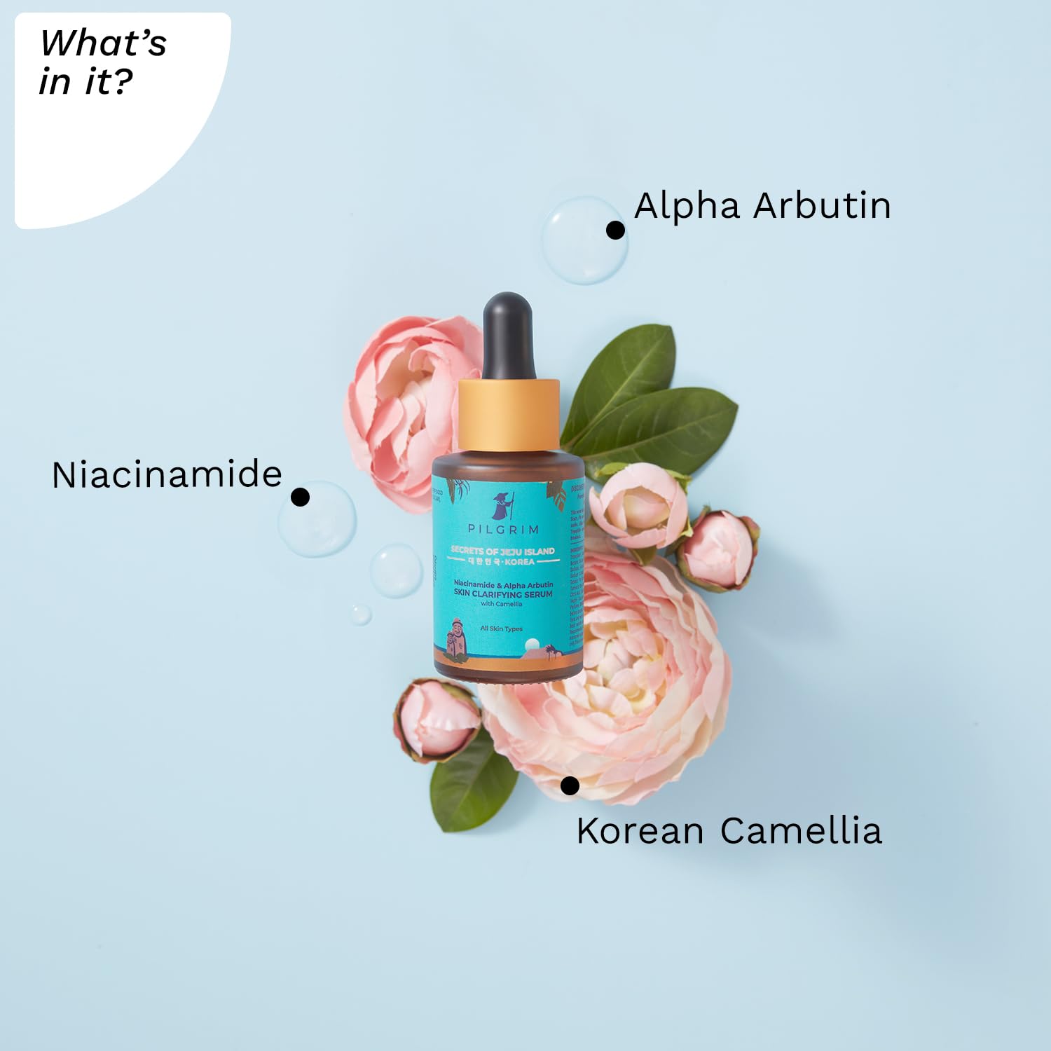 Pilgrim 5% Niacinamide & 1% Alpha Arbutin Serum | Skin Clarifying Facial Serum for Acne-Prone Skin | Strengthens Barrier, Controls Oil & Fades Acne Scars | 1.01 Fl Oz (30ml)