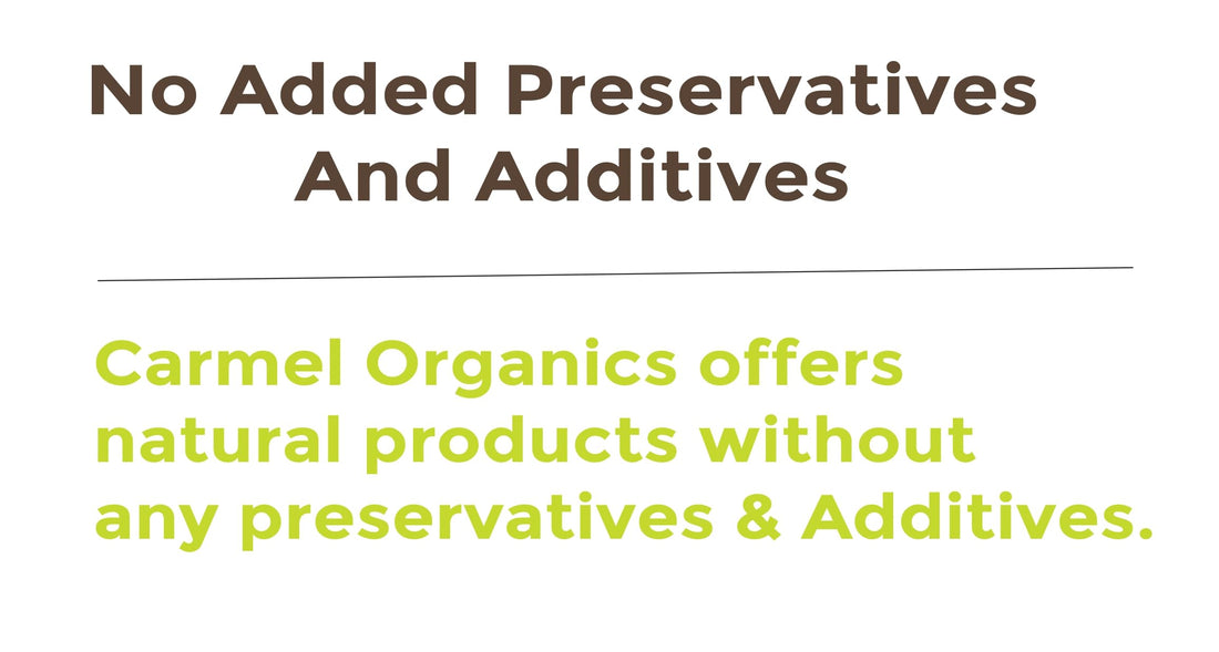 CARMEL ORGANICS Herbal Hair Cleanser (8 Ounce), Unique Blend Of Soapnut,Shikakai,Amla & Aloevera Powder, 100% Natural, No Artificial Fragrance and Chemical free, No Added Preservatives