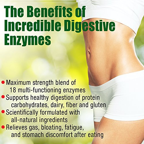 Stonehenge Health Incredible Digestive Enzymes - 18 Plant-Based Enzymes - Lipase, Lactase, Protease, Amylase, Bromelain for Gas, Bloating, Fatigue (1)