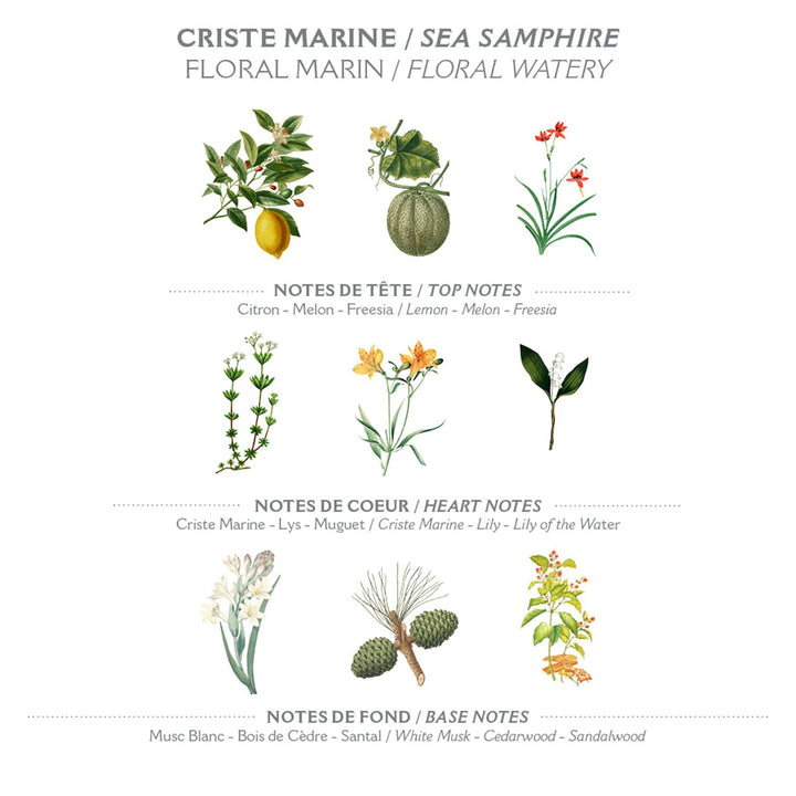 Panier des Sens Sea Samphire Eau de Toilette - 1.7floz/50ml