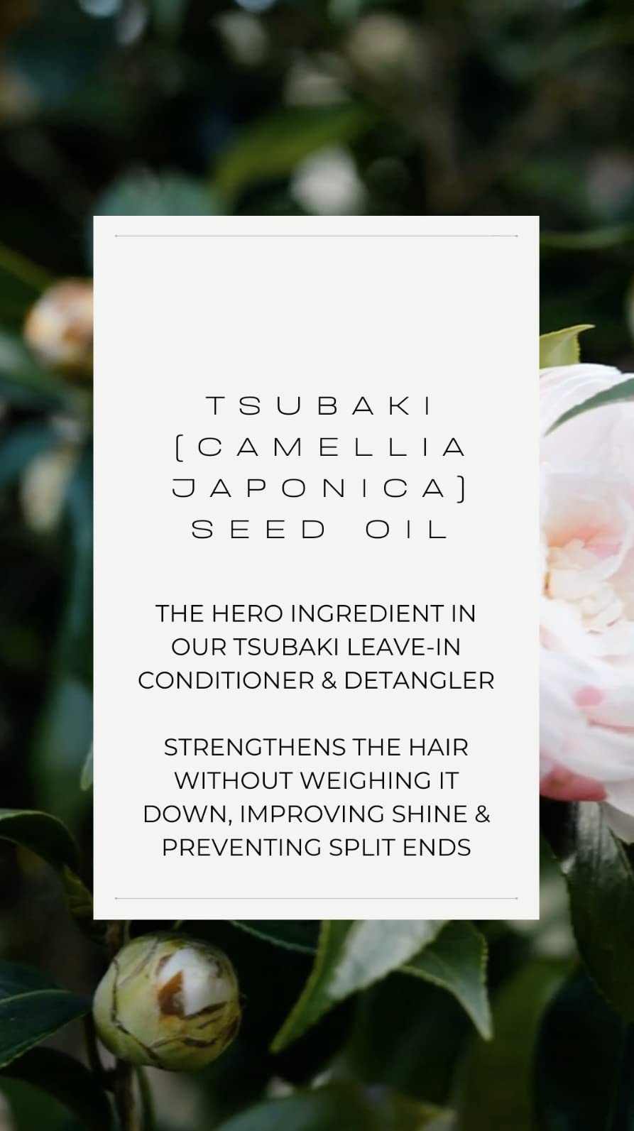 VIVAIODAYS Organic Tsubaki Kids Leave-In Conditioner & Detangler, for Tearless, Easy Hair Combing (3.4 oz | 100 ml)