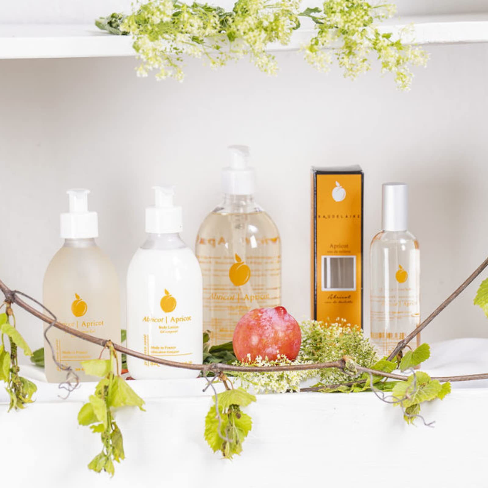 Provence Sante Pro-2928 For Women (Eau De Toilette, 100 ML)