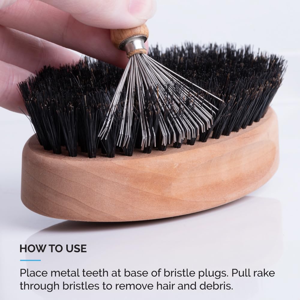 Zeus Military-Style 100% Boar Bristle Large Oval Brush Set in Tin - Made in Germany (First-Cut Bristles (Firm))