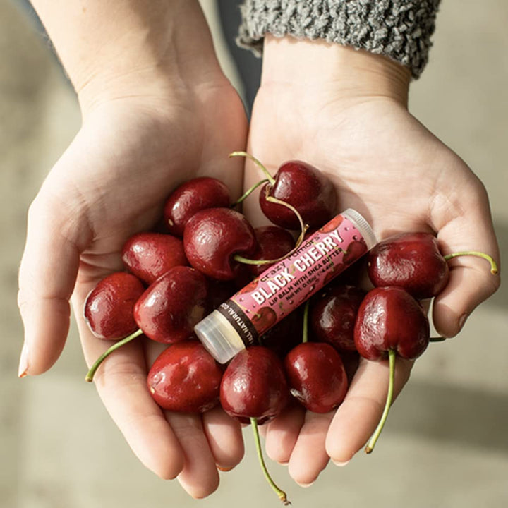 Crazy Rumors Soda Pop Lip Balm Black Cherry Tubes - 0.15 Oz 4 Pack