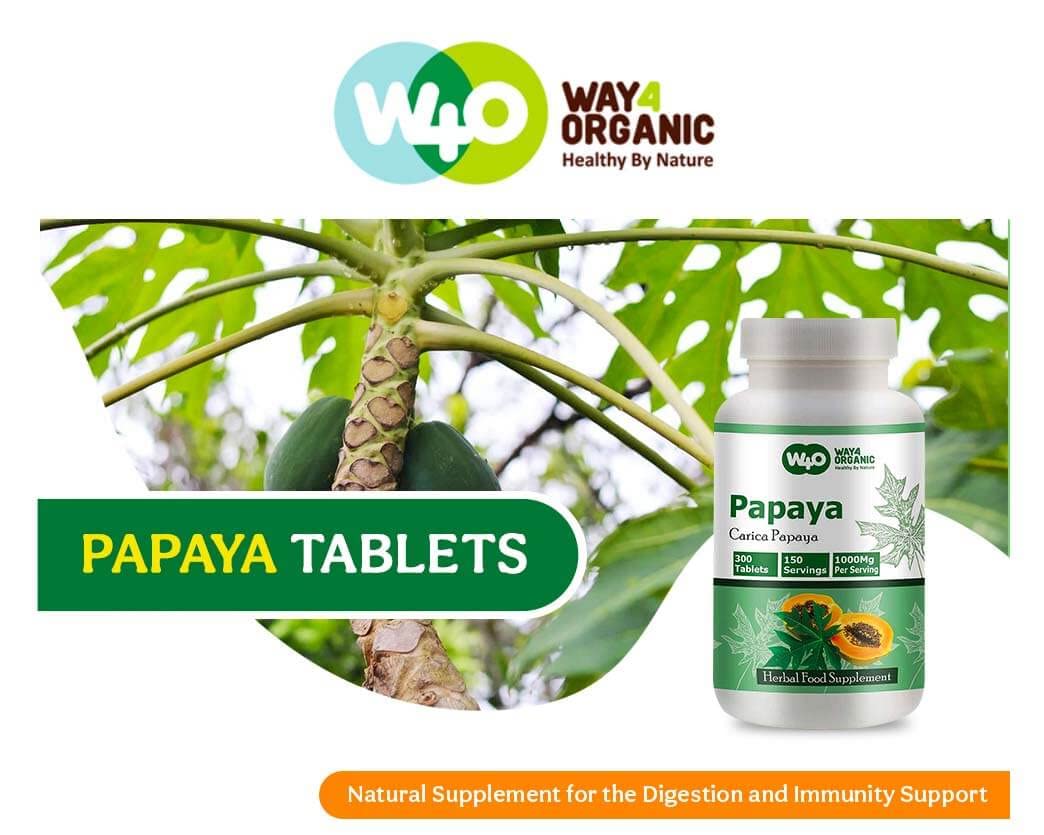 WAY 4 ORGANIC W4O Papaya Leaf Extract Capsules (Tablets) - 300 Pills, 150 Servings, 1000 mg, Supports Platelet Immunity & Digestion* (Pack of 1)