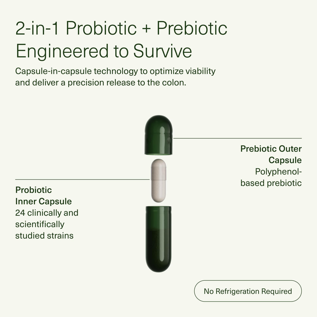 Seed DS-01 Daily Synbiotic - Prebiotic and Probiotic for Women & Men - Digestive Health, Gut Health, Immune Support, Bloating & Constipation Relief - Vegan & Shelf-Stable - 60 Capsules (30-Day Supply)