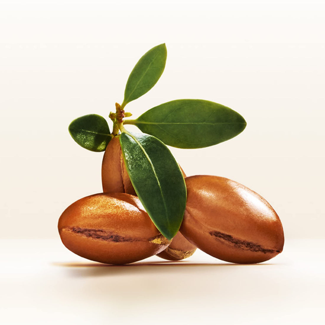 Pantene Pro-V Hair Oil with Argan 100ml