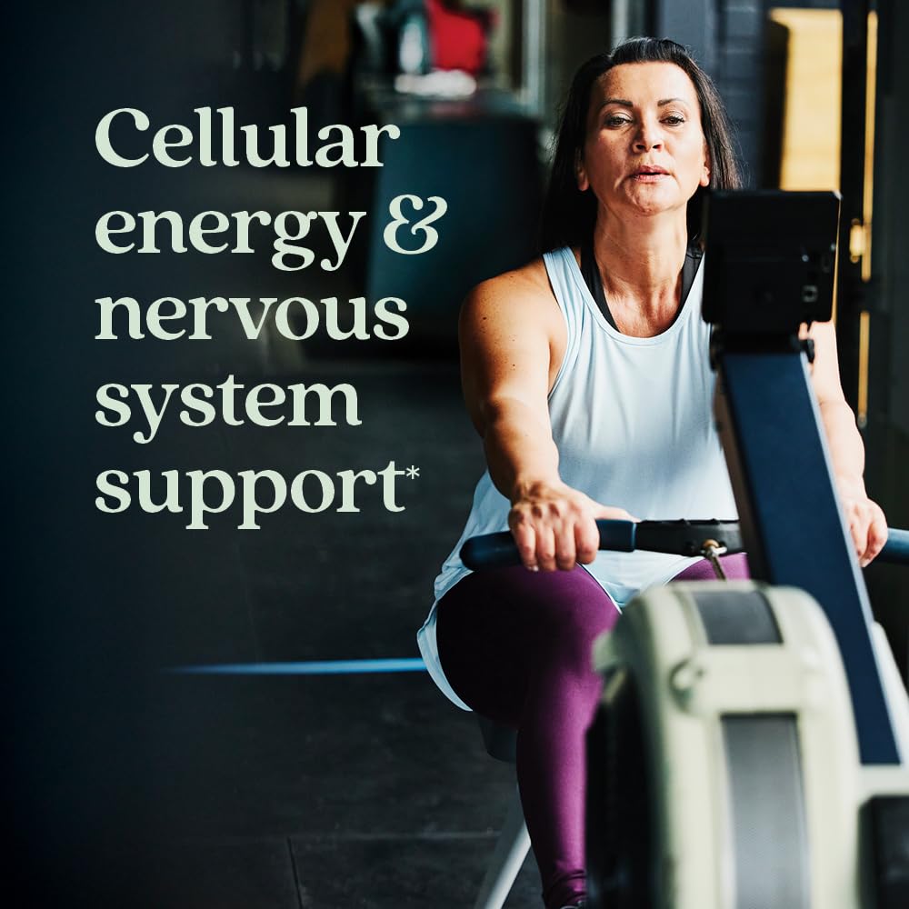 New Chapter Energy Supplement - Perfect Energy Multivitamin for Balanced Energy + Stress Support with B Vitamins + Vitamin D3 + Organic Non-GMO Ingredients - 96 ct